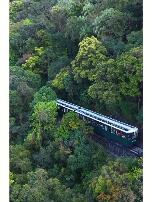 香港旅游丨一定要去一次的太平山顶 