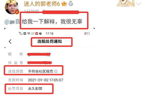 官媒痛批网络用语 从饭圈文化延伸到语言文化,根源何在