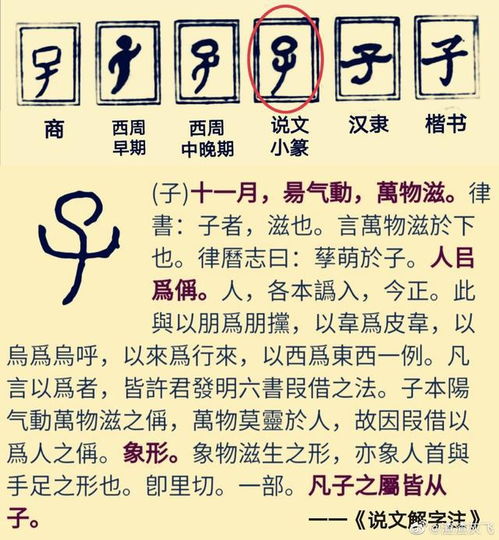 说文解字 看似简单的汉字 子 竟然有三个源头