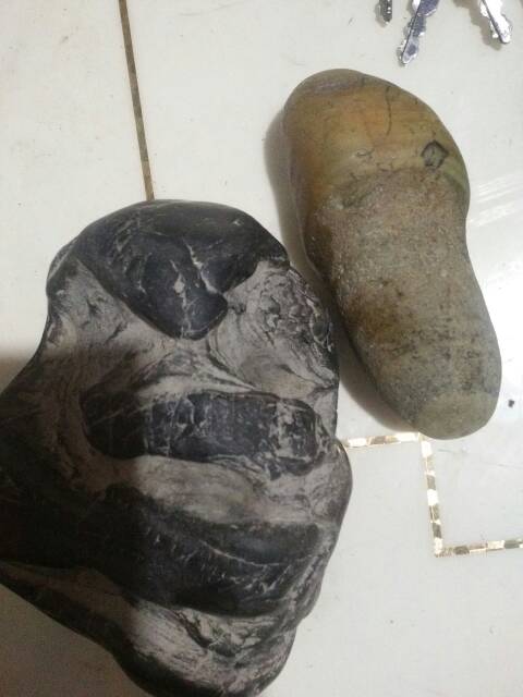 这两个奇石一个黑像蛇的是粉粹石吗,两个平个价多少朋友有认识石头吗 