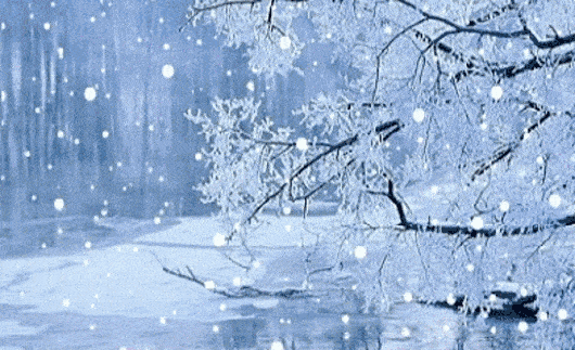 今日小雪,二胡独奏 数九寒天下大雪 最早最暖的祝福送给你 愿您幸福安康