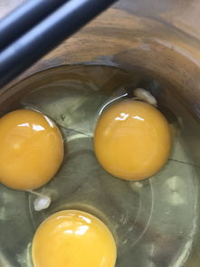 鸡蛋黄有白色的东西是什么东西