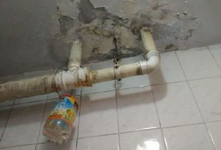 楼上卫生间漏水修理方法 楼上卫生间漏水原因有哪些