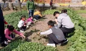 朝阳城里人在农村有个亲戚的好处,请不要嫌弃他们 