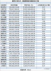 股票持仓是什么意思，请简单明了，。