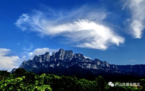 十二星座游庐山,你最想和哪个星座去旅行