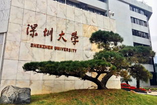 深圳大学城图书馆有停车场吗 (深圳大学城哈工大附近免费停车场)