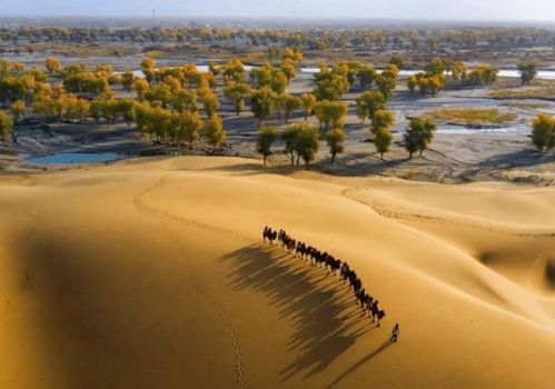 如果塔克拉玛干沙漠下 暴雨 ,会让沙漠变成绿洲吗