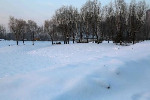 你知道吗 雪景做加法,拍出画面才好看 还有更关键的