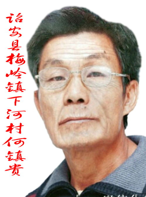 诏安县梅岭镇下河村何镆贵 