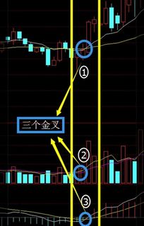 什么叫周线与日线的共震