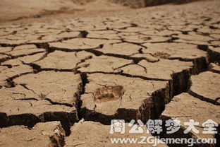 梦见河水暴涨突然干了是什么意思 梦到河水暴涨突然干了好不好 大鱼解梦网 