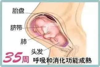 孕晚期胎宝 准妈的变化有哪些呢 看完本文成竹在胸