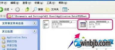 Win10安装cad2010激活失败