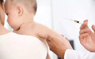 婴儿疫苗接种(新生儿哪些疫苗需接种)