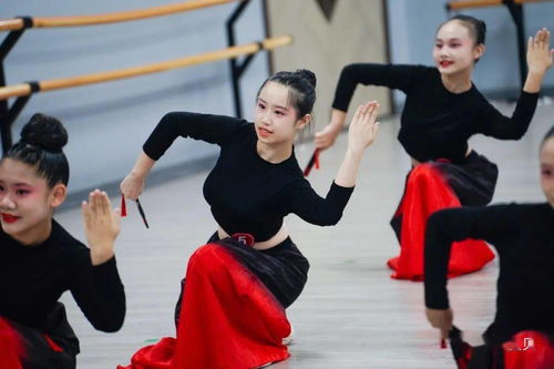 中国舞蹈家协会中国舞蹈考级 动感宝贝河西校区学员展示 二