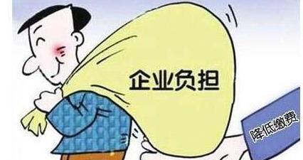 养老保险费咋交,养老保险医疗保险个人怎么交费?