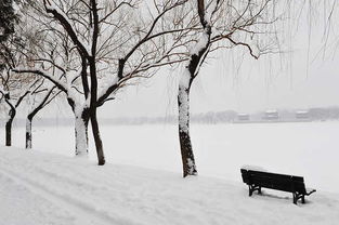 瑞雪兆丰年的吉言句子