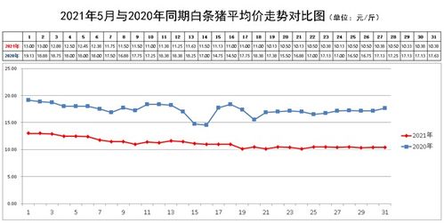 2021年猪皮价格走势（猪价格行情2021年） 第1张