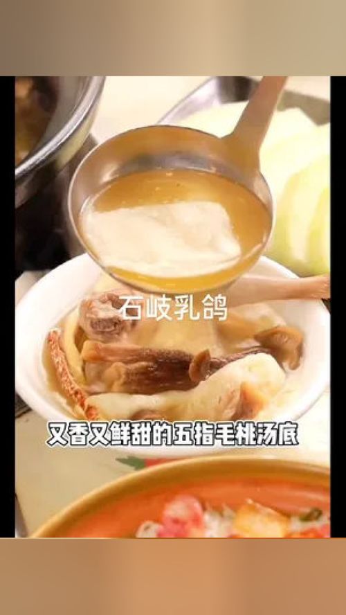 鸽子吃什么食物