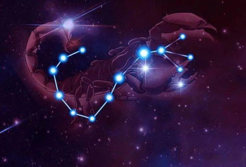 天蝎座是个性很强的星座,对自己喜欢的领域,异常执着且喜欢
