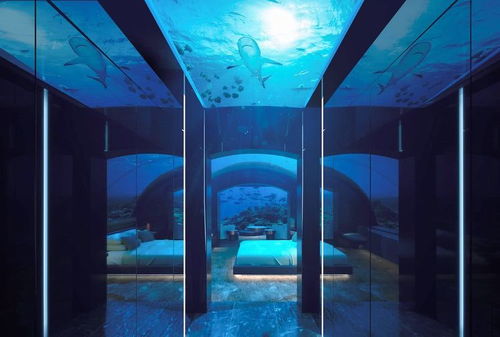 世界上最酷的高科技酒店 卧室在5米深的海底 住一晚35万元