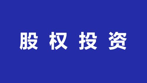 非股权投资是什么意思啊