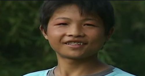 湖南12岁少年精通鸟语,能指挥鸟儿做事,真是传说中的 鸟神
