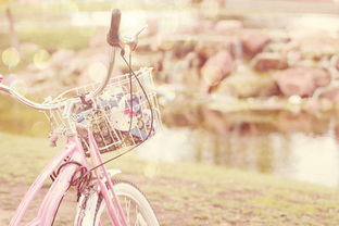 嫛婗 单车 自行车 浪漫 纯真