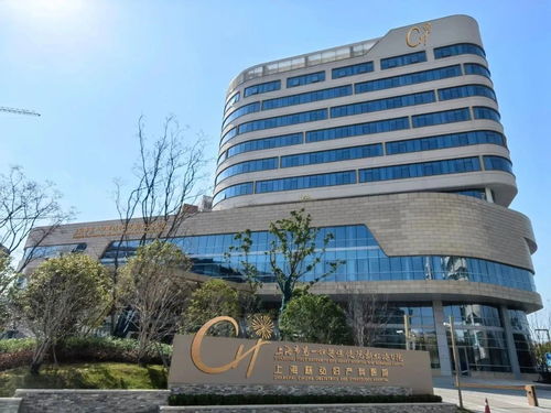 上海市第一妇婴保健院三代试管婴儿生EZ费用