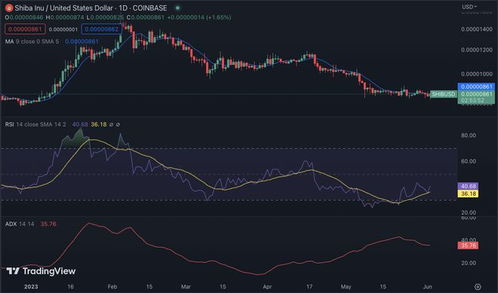 最新shiba价格,shib价格今日行情走势