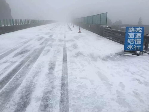 寒潮 台风 雨雪 冰冻 广东最低 5 珠海