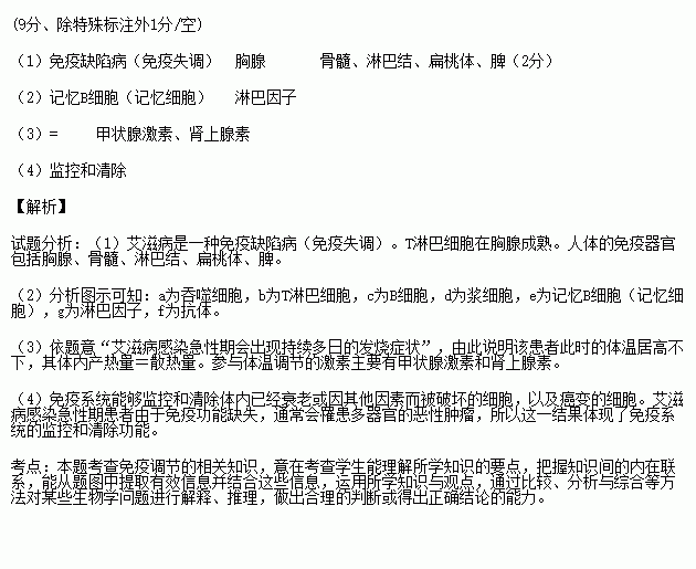 艾滋病是一种危害性极大的传染病.病因是由于患者感染艾滋病病毒引起.如图为艾滋病感染者体内HIV浓度和T细胞数量随时间的变化规律.请据图回答下列问题 1 从免疫学角度分析 