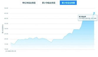 请教持有50ETF的朋友可以打新股算市值吗