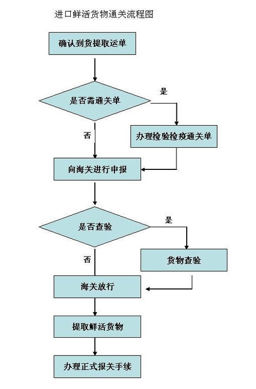 报关报检流程(报关报检的主要流程)