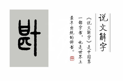 说文解字 第377课 文字学说,要成为 博 士,先 搏 斗 