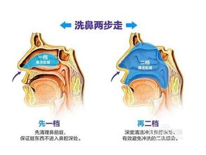 价格 图片 品牌 怎么样 元珍商城 