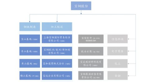 钢铁公司的组织结构是什么