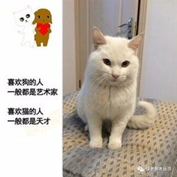 趣谈 爱猫和爱狗的人有啥不一样