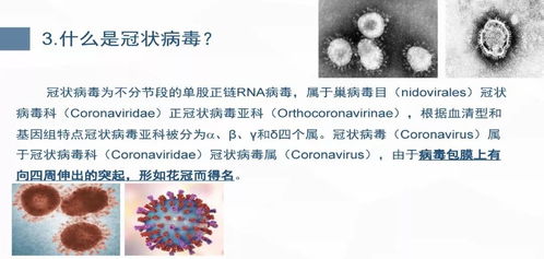 关于目前新型冠状病毒感染的肺炎，我们应该注意什么(新型冠状病毒的其他注意事项)