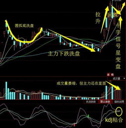 雄安股票还能涨多久－－雄安概念暴涨，哪些个股还有机会？来我这里听听专业人士怎么说？