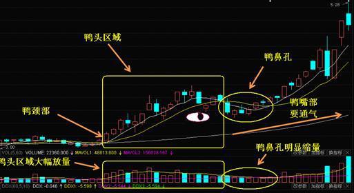 通达信选股公式提示：对不起，条件选股公式 输出不能超过1个，哪里错了吗？