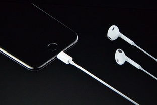 苹果iPhone7发布 5388元起 9月16日上市 