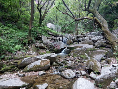 秦岭 九龙潭踏青一日游