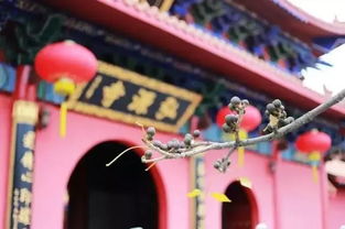 深圳7大香火旺盛的寺庙,春节烧香祈福就选这里了 