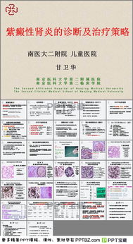 紫癜性肾炎的诊断及治疗策略PPT课件 幻灯片模板 