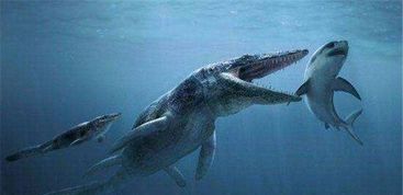 史前海洋三大霸主 沧龙吃巨齿鲨图片引哗然 