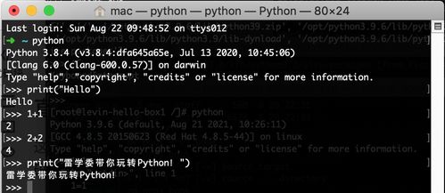总结Python运行代码的几种姿势