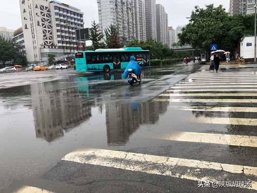 西安这雨多的,也成梅雨季了