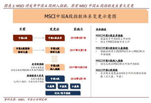 a股入msci时间是怎样的